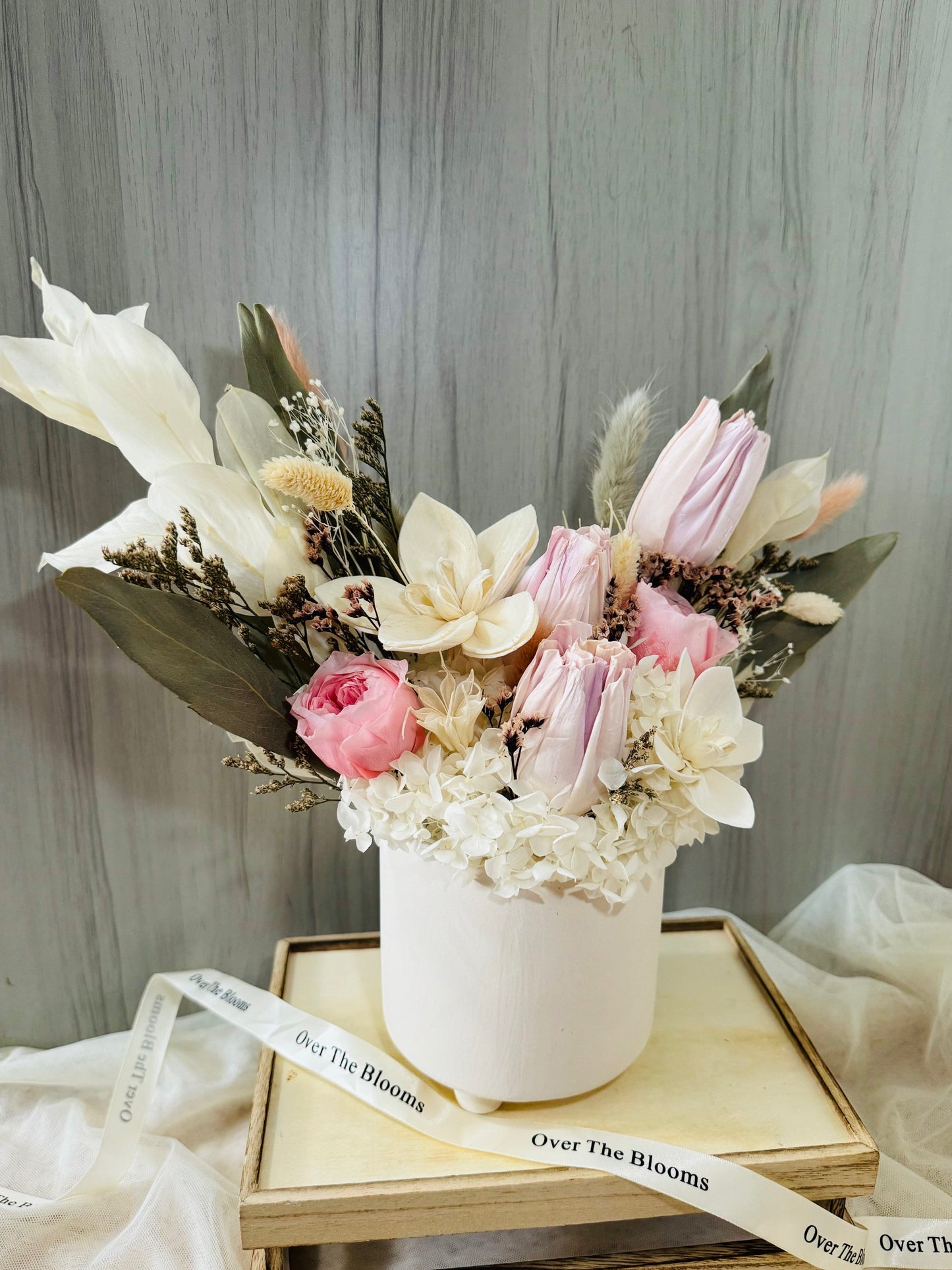 Tulips in Spring Blooms