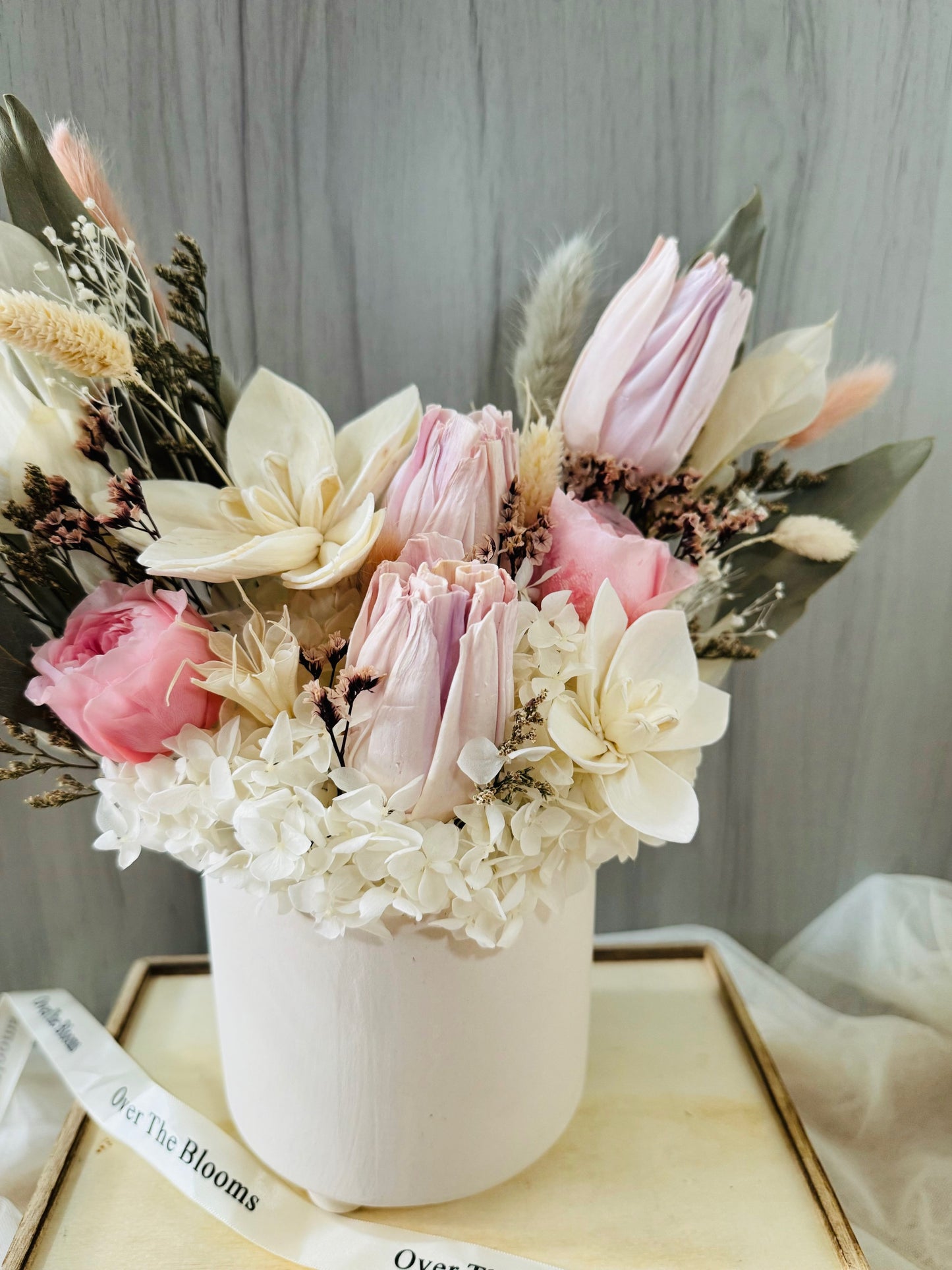 Tulips in Spring Blooms