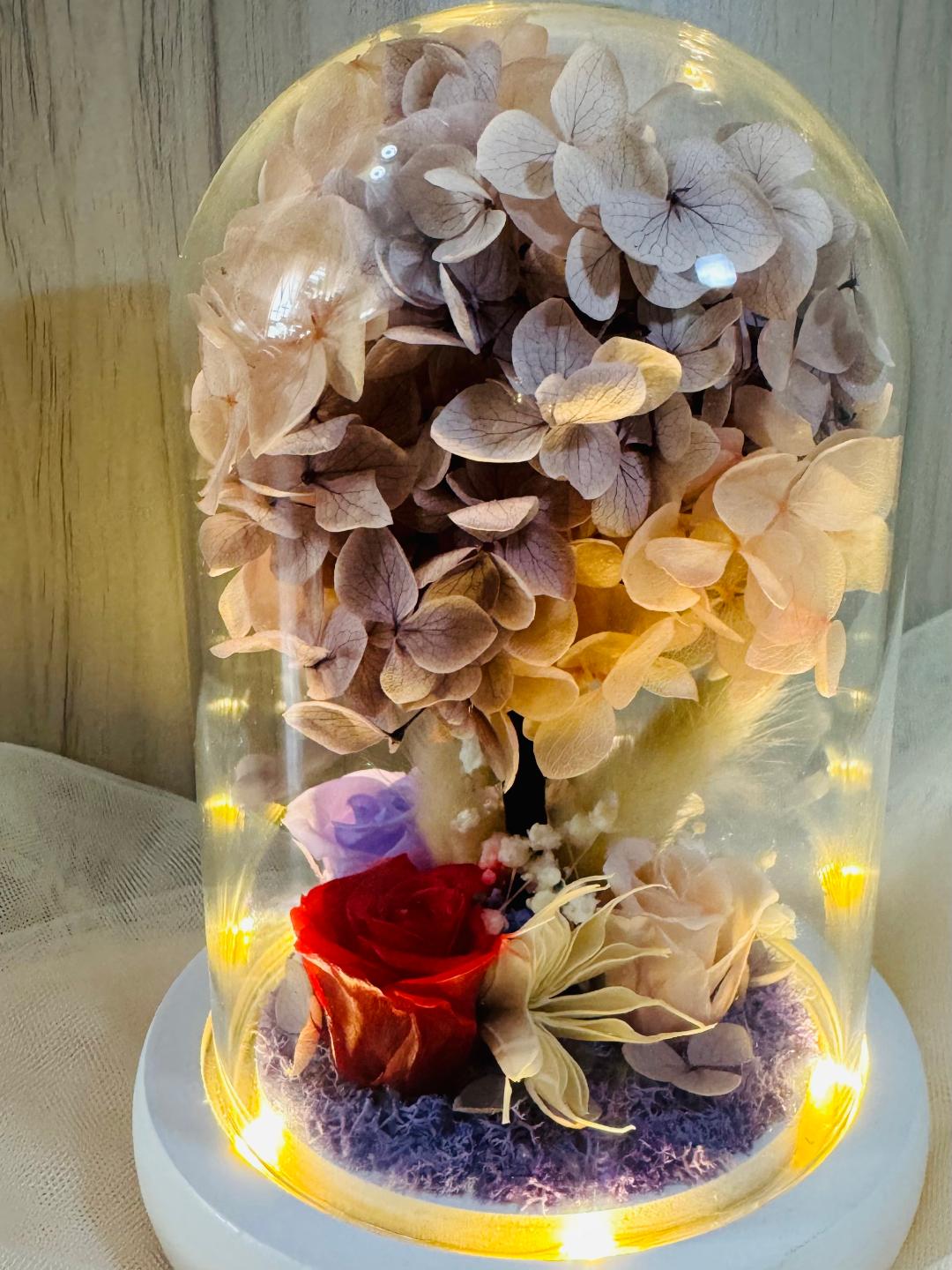 Violet Paradise Tree