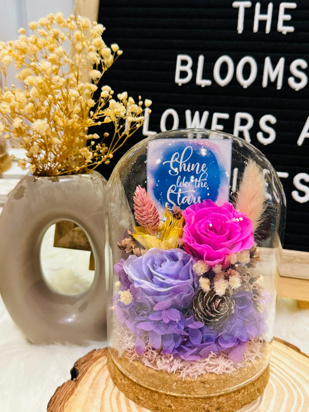 Shine Like The Stars