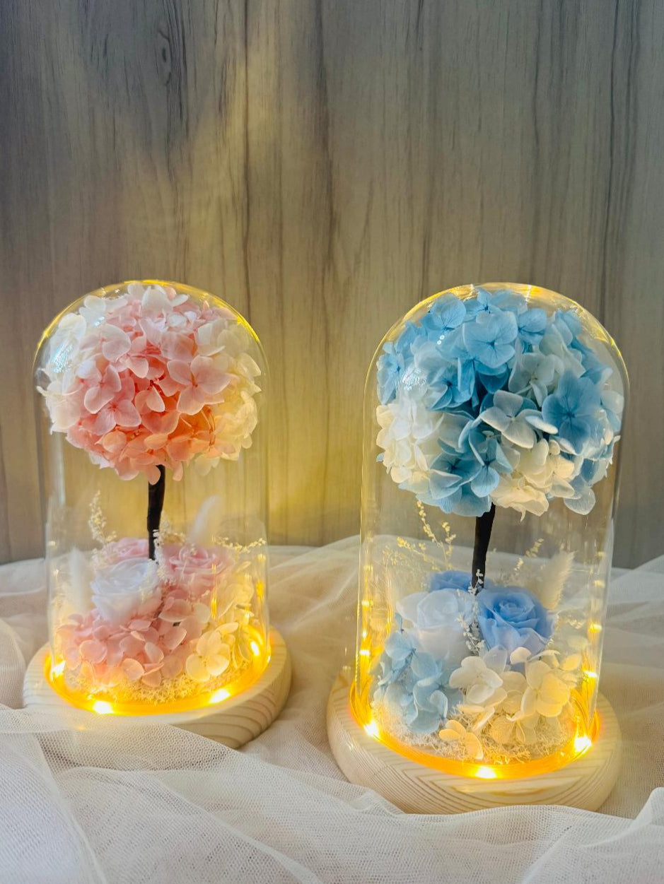 Blossom Hydrangeas Tree